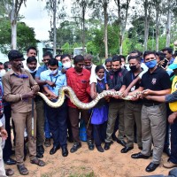 Participants holding a big Indian Python